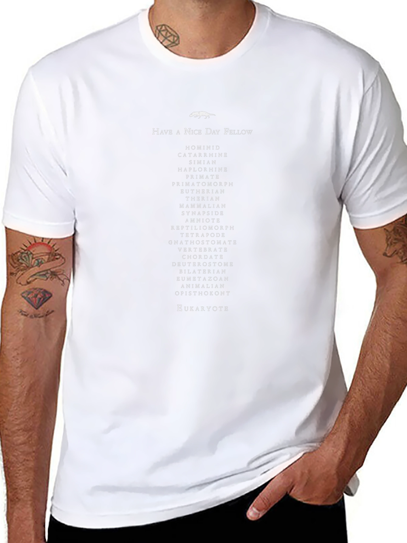Evolutionary Lineage T-Shirt - Have A Nice Day Fellow