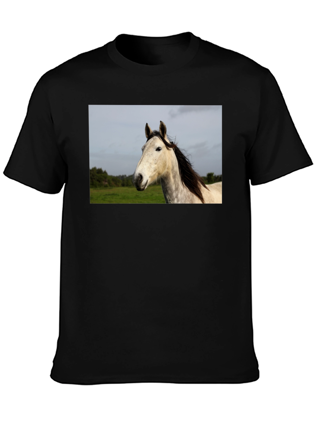 Horse Graphic Print Black T-Shirt