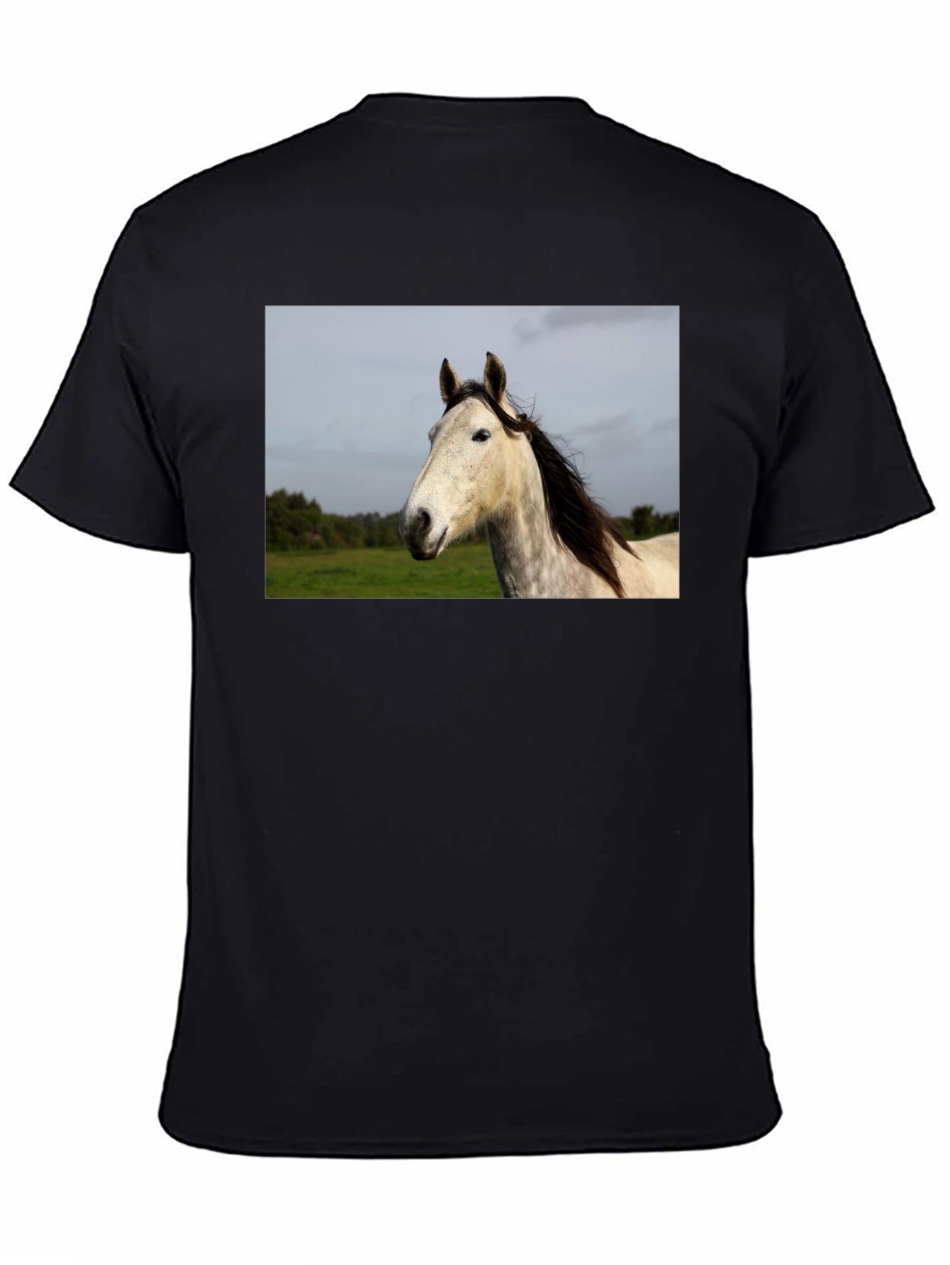 Horse Graphic Print Black T-Shirt